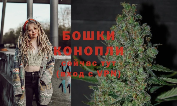 первитин Новодвинск