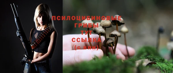 гидра Новокубанск
