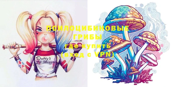 PSILOCYBIN Нязепетровск
