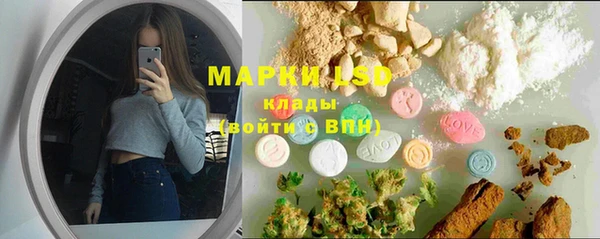 гидра Новокубанск