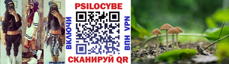 маркетплейс клад  Петровск-Забайкальский  Псилоцибиновые грибы GOLDEN TEACHER 